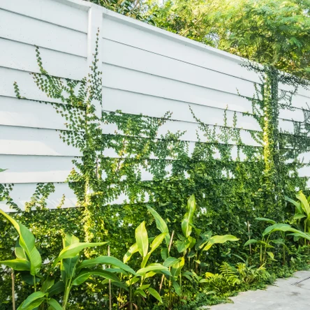 Забор жалюзи